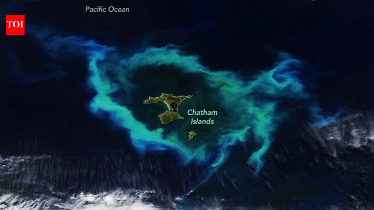 NASA satellite spots gleaming halo around New Zealand’s Chatham Islands |