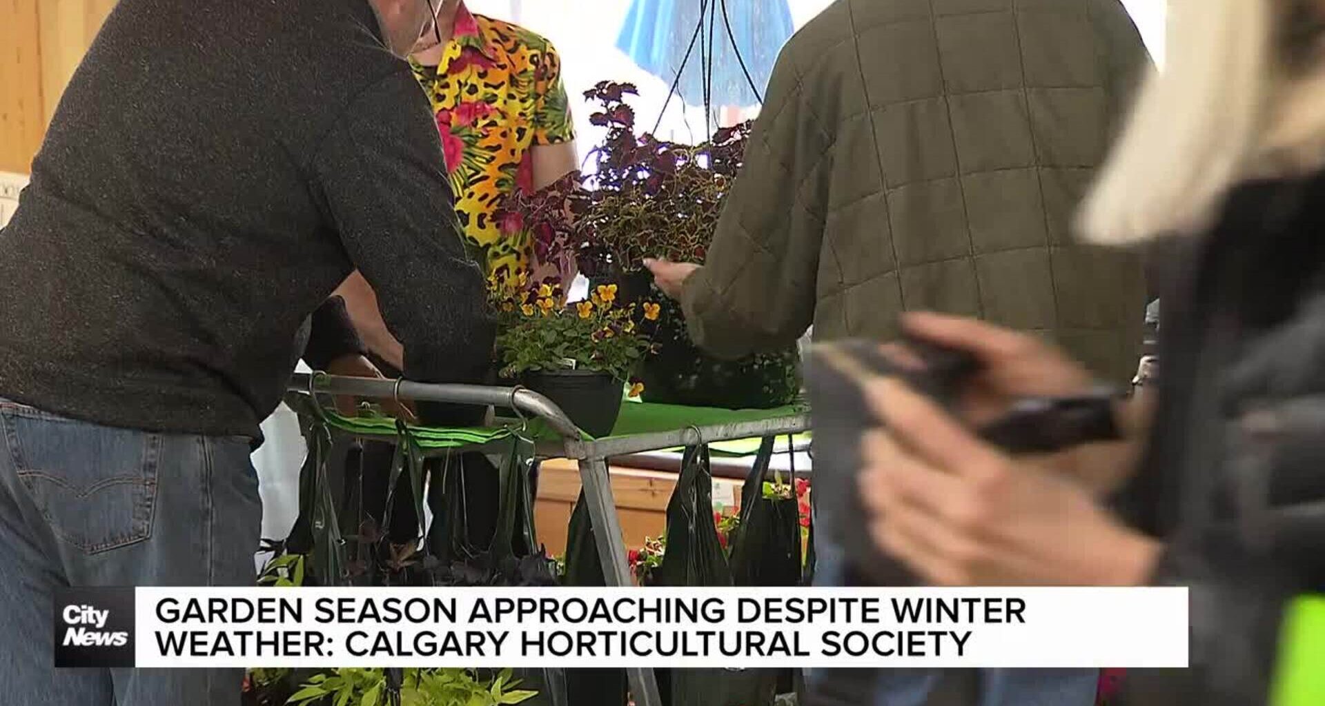 Garden season approaching despite winter weather: Calgary Horticultural Society