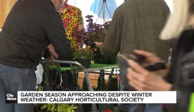 Garden season approaching despite winter weather: Calgary Horticultural Society