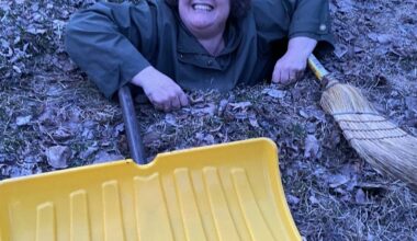 ‘What a stupid situation’ as woman plunges into boulevard hole – Winnipeg Free Press