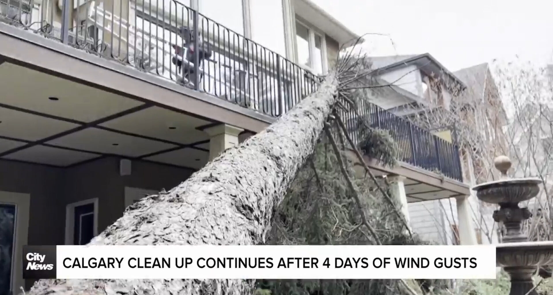 Calgary clean up continues after 4 days of wind gusts