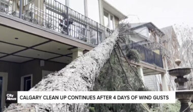 Calgary clean up continues after 4 days of wind gusts