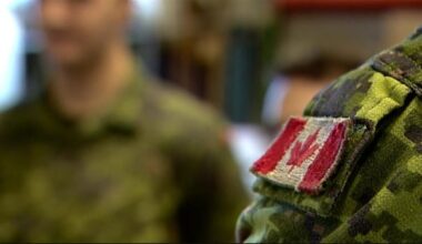 Helmets and hard hats: A look at Canada's plan to boost the military with skills training