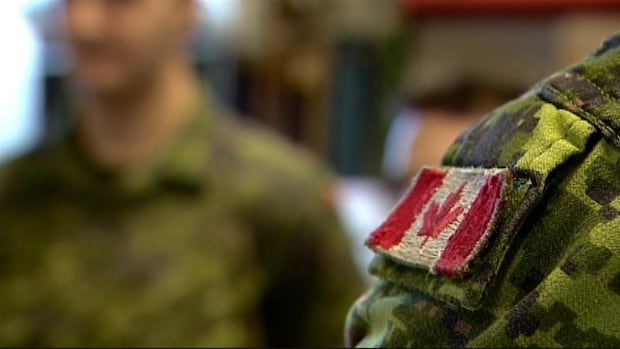 Helmets and hard hats: A look at Canada's plan to boost the military with skills training