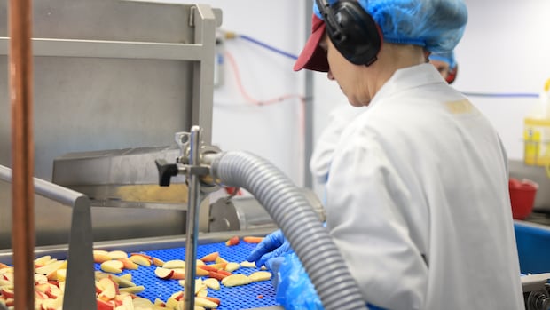 N.S. wages outpaced inflation, grew far faster in 2025 compared to Canada overall