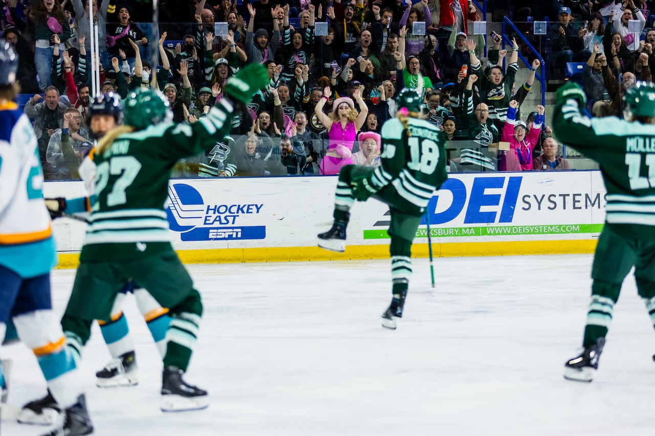 Hockey players celebrate a goal as fans cheer in the background.