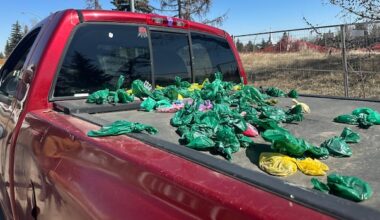 Poop bags are being dumped on this truck. It can't be towed because impound lot is full