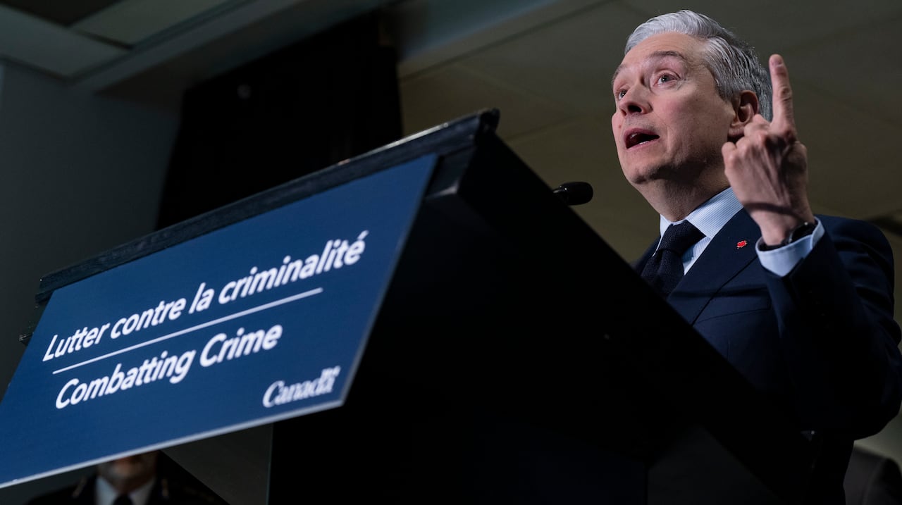 Minister of Finance and National Revenue Francois-Philippe Champagne outlines the government's plan to launch consultations for a new National Anti-Fraud Strategy to combat surging financial crimes