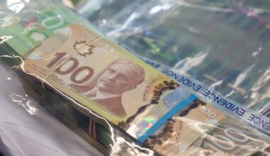 Liberals are pitching a brand new police agency for financial crimes. How would that work?