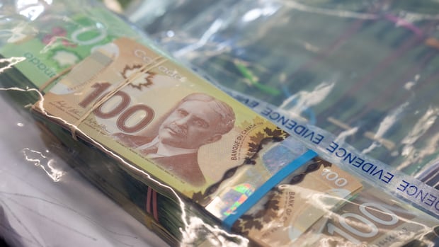 Liberals are pitching a brand new police agency for financial crimes. How would that work?