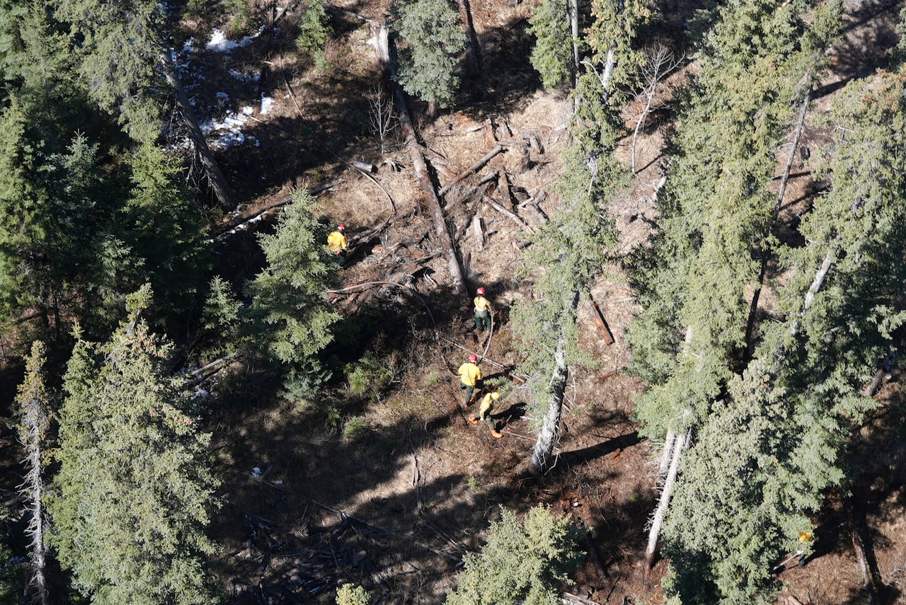 Aerial shot of four people and a hose in a forest.