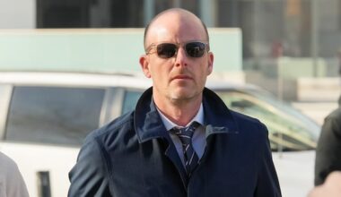 'Roaring Lion' thief now able to appeal jail sentence