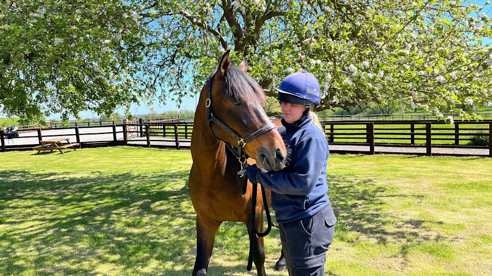 A horse rider standing next to a light brown horse. The woman is wearing a riding helmet and holding the animal by a reign. They are standing in a gated paddock with grass and trees.