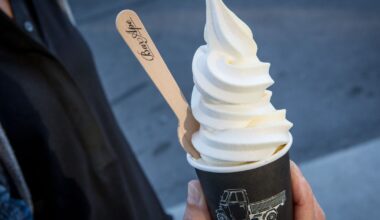 Toronto's hottest soft serve gelato shop opens for the season this week