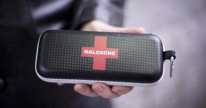 Public health issues drug poisoning alert for Haliburton County - Peterborough