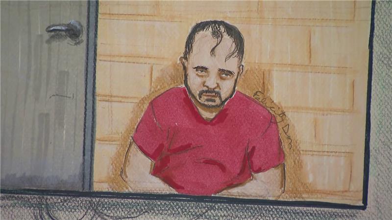 Shaheer Cassim admits guilt in B.C. plane hijacking