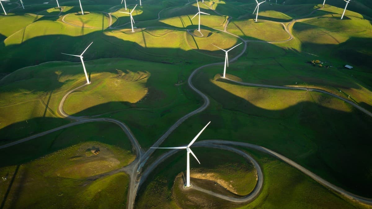 Red Tape Is Strangling The Clean Energy Transition