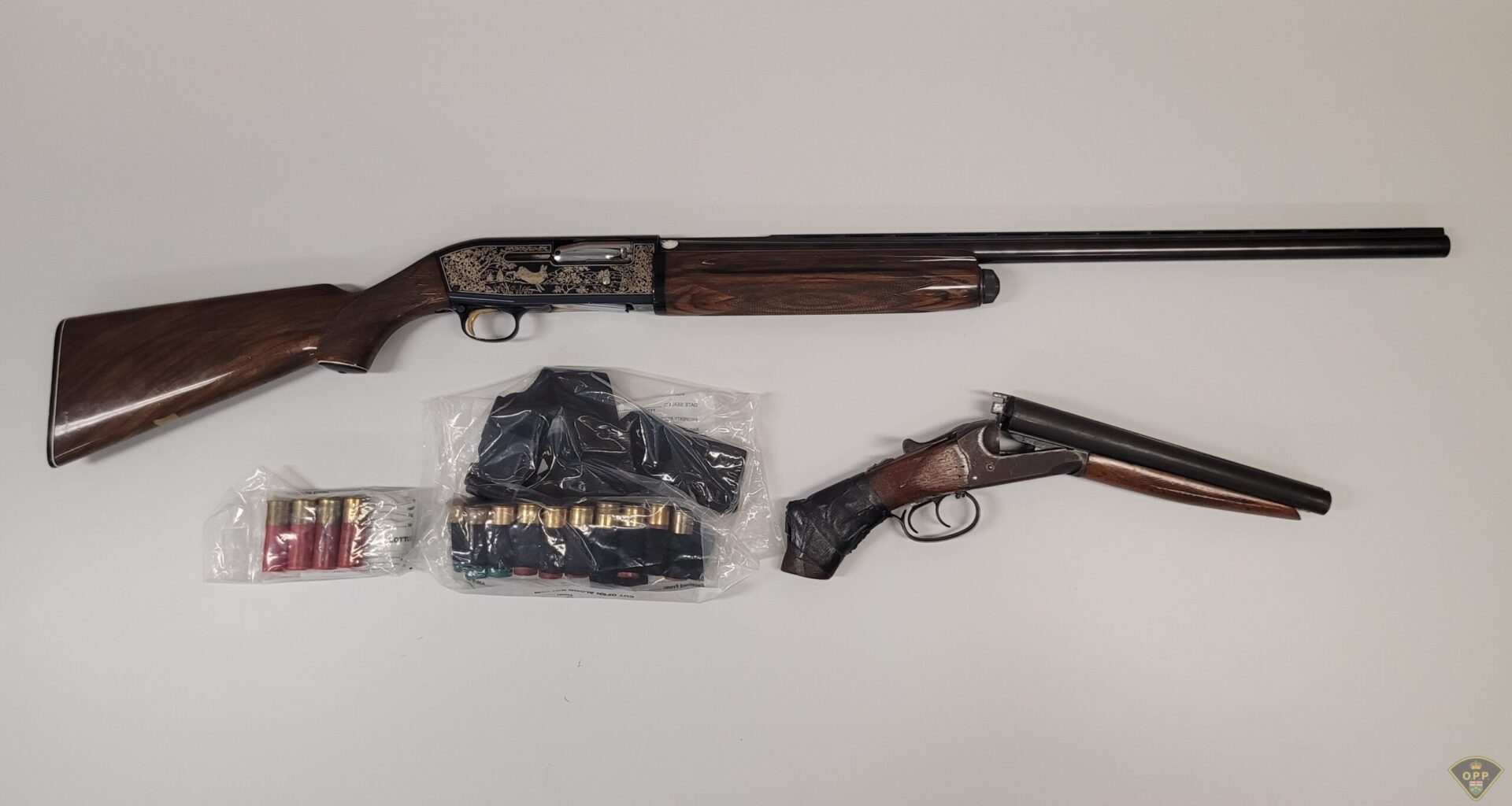 23-year-old from Ottawa facing gun charges after home, vehicle searches