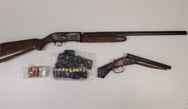 23-year-old from Ottawa facing gun charges after home, vehicle searches