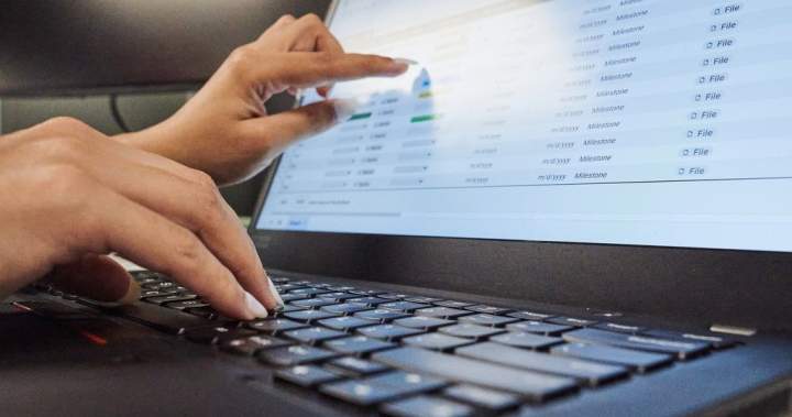 Ottawa proposes making it easier to share personal data among government - National