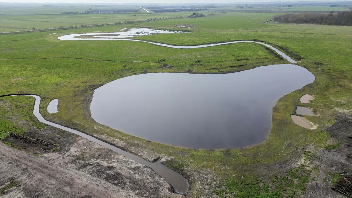 Wildlife arriving at newly created wetland
