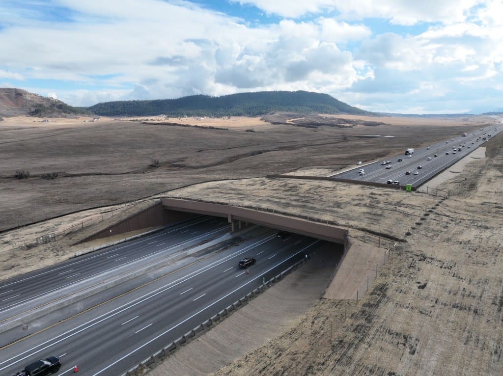 Moose, elk, black bears and mountain lions are now able to cross six lanes of interstate traffic along 1-25 near Larkspur, Colo., thanks to the opening of North America’s largest wildlife overpass. Colorado Governor's Office