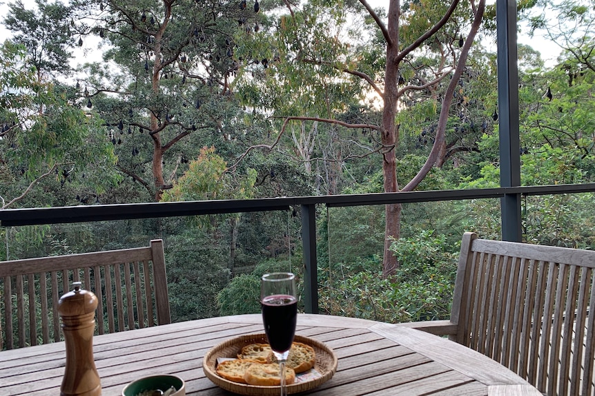 A table on a baclony with a glass of red wine and some bread on it with bats hanging from the trees.