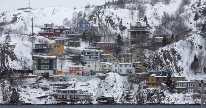 Tale of flight stuck on ‘freezing Canadian island’ gets warm laughs in Newfoundland