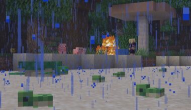 Kai extinguishing a fire in the Dark Forest while baby chickens, pigs, and turtles gather on the rainy Beach in the foreground.