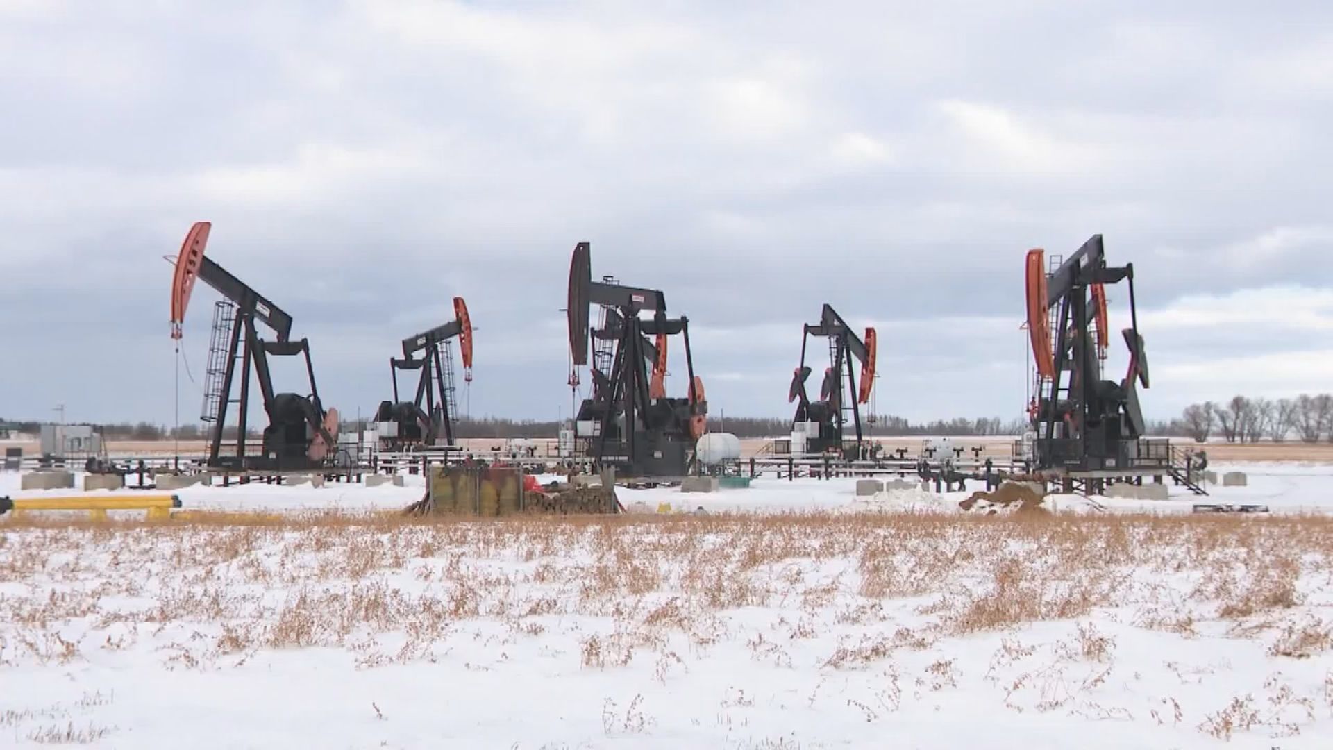 Click to play video: 'Canada’s role in historic emergency oil reserve release'