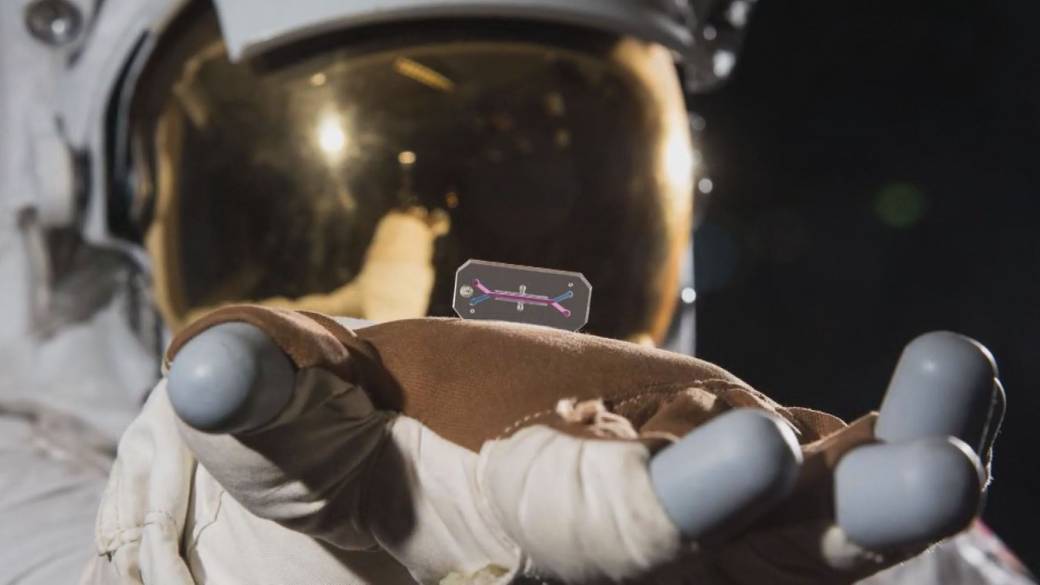 Click to play video: 'How and why Artemis II’s astronauts are taking their own cells around the moon'