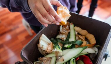 10 Best Compost Bins for Every Space in 2026