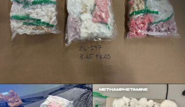 Police conduct large drug seizure from traffic stop in Surrey