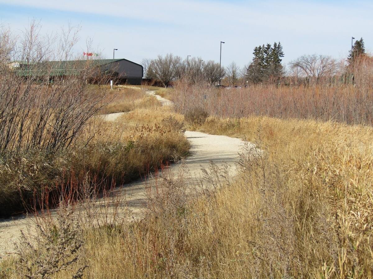 The trails at Brandon’s Riverbank Discovery Centre are a frequent stop for members of Westman Naturalists. Photo: Donna Gamache