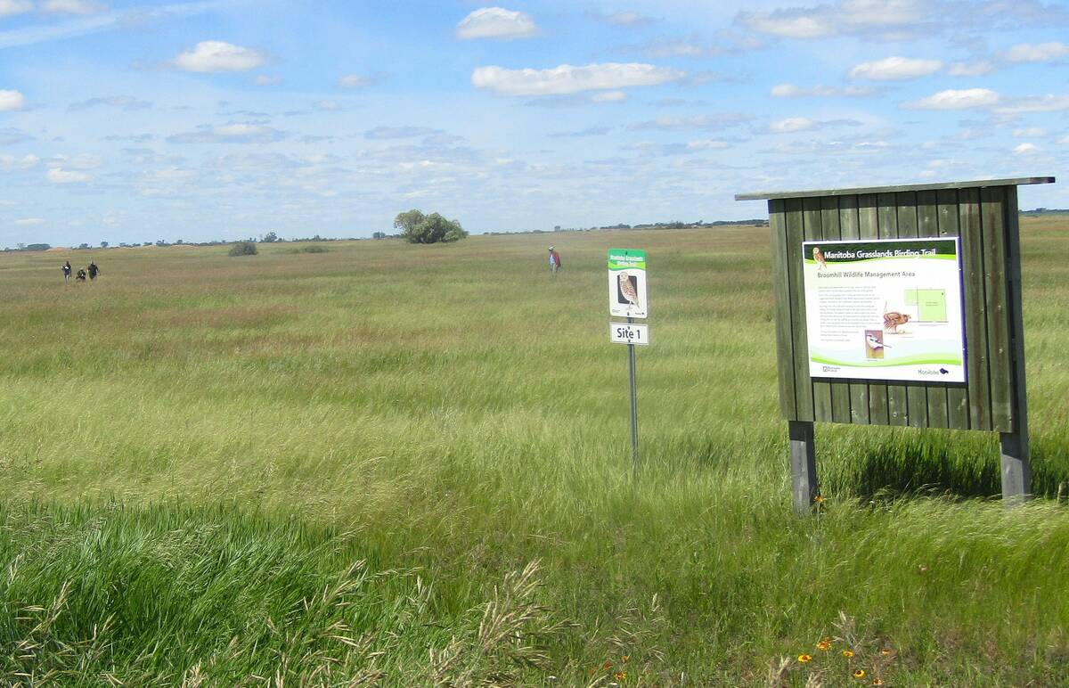 Westman Naturalists members in the distance walking through tall grass at the Broomhill Wildlife Management Area, with an interpretive sign in the foreground. Photo: Donna Gamache