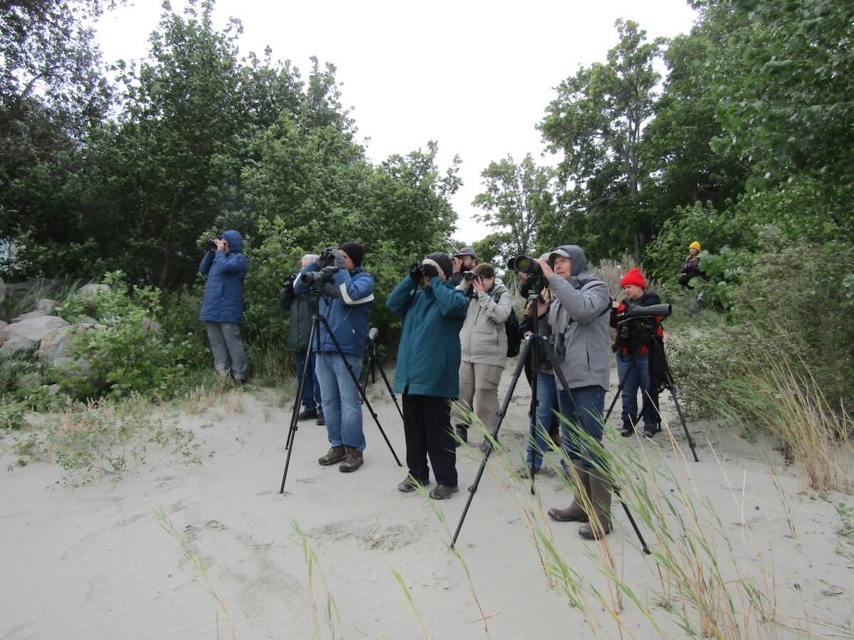 A group of about 10 Westman Naturalists members on a sandy beach at the Manitoba Delta, raising binoculars and spotting scopes toward the lakeshore. Photo: Donna Gamache