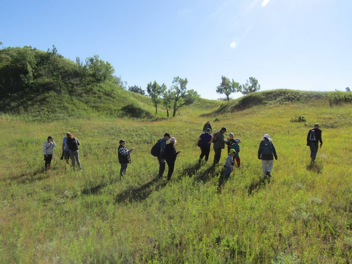 A group of about a dozen Westman Naturalists members walking through tall summer grass and rolling sandhills under a clear blue sky. Photo: Donna Gamache