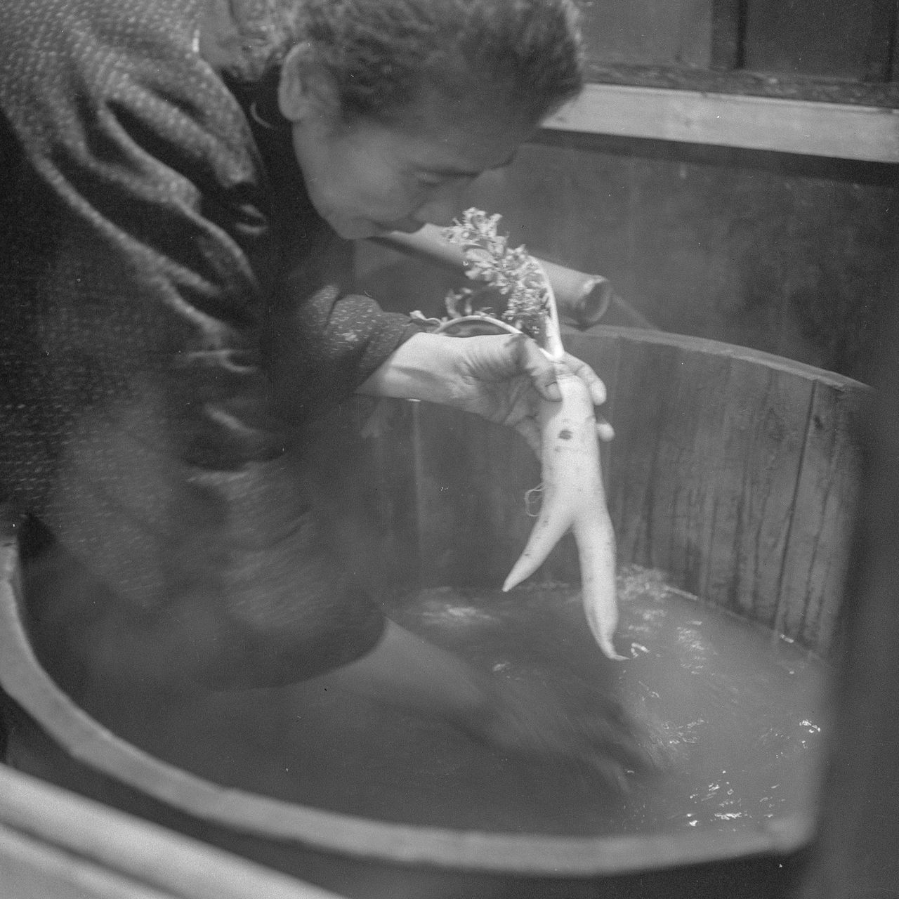 In this family, a forked daikon radish representing the divine spirit was bathed reverently. (© Haga Hideo)