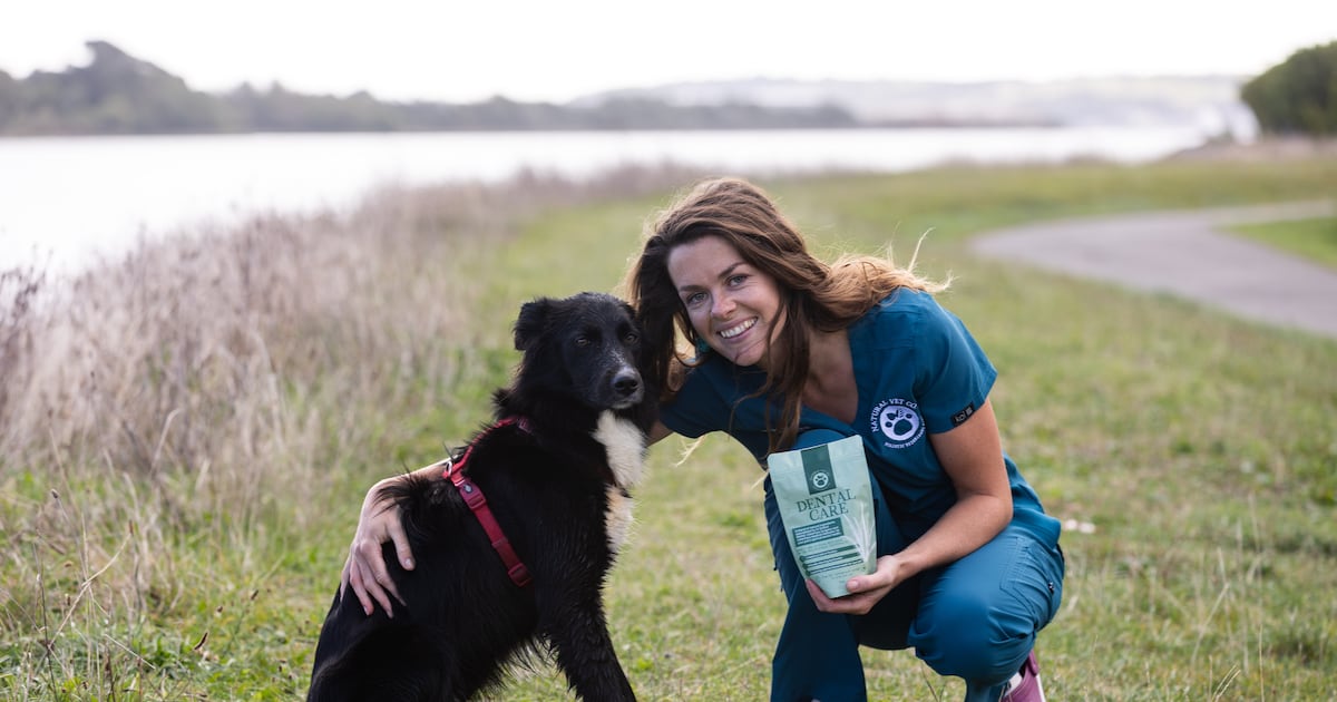 Vet turns to herbal medicine to tackle pet health issues – The Irish Times