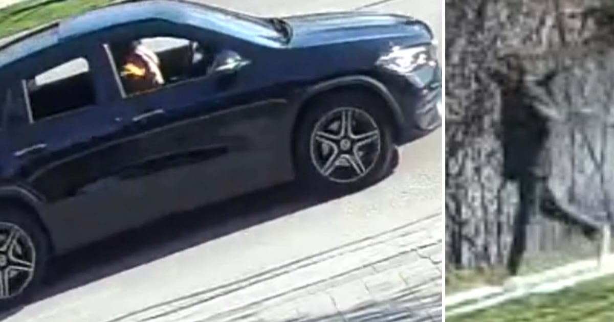 Girl grabbed by stranger in woods in Vaughan: Suspect sought