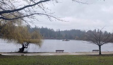 Vancouver Park Board asks for ‘historic’ $1.35 billion investment from city - BC