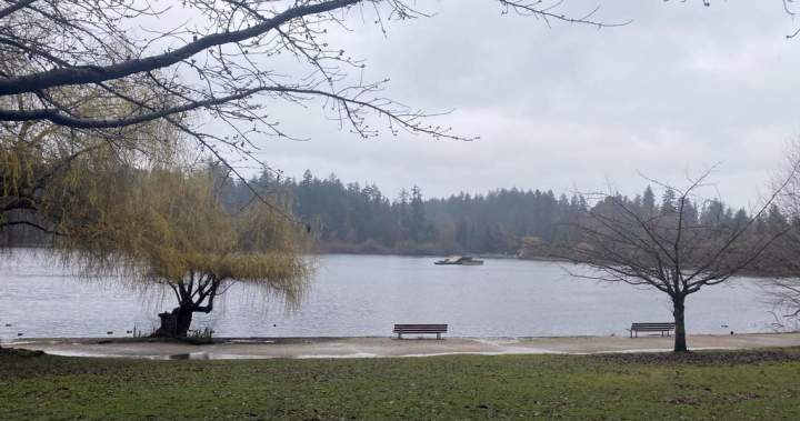 Vancouver Park Board asks for ‘historic’ $1.35 billion investment from city - BC