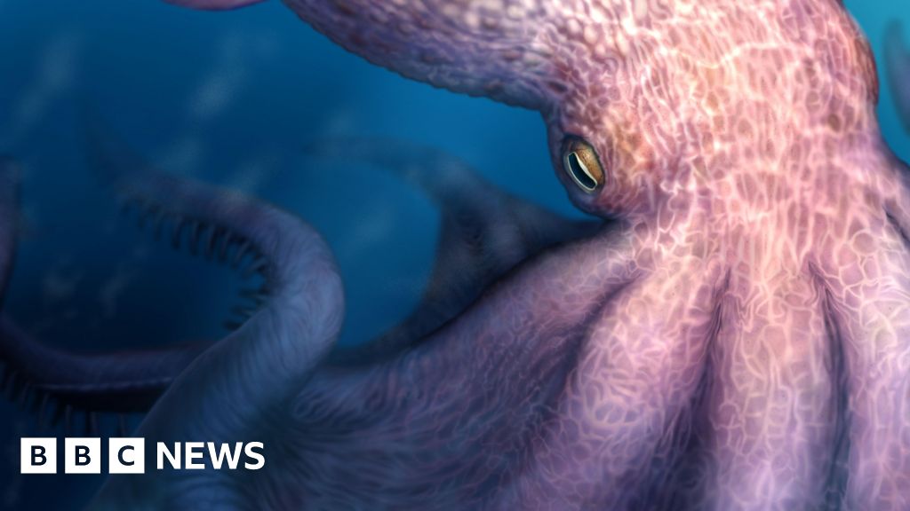 Meet the 19 metre octopus that may have prowled ancient seas - BBC