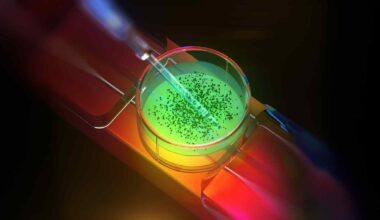 Strange state of matter revealed