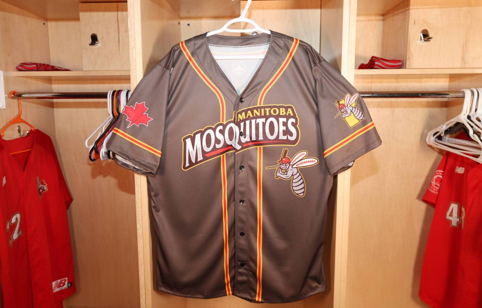 Goodbye, Goldeyes — hello, Manitoba Mosquitoes – Winnipeg Free Press