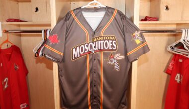 Goodbye, Goldeyes — hello, Manitoba Mosquitoes – Winnipeg Free Press