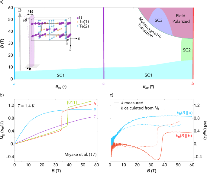 Giant transverse magnetic fluctuations at the edge of re-entrant superconductivity in UTe2