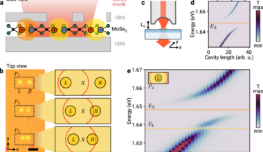 Cavity-mediated exciton hopping in a dielectrically engineered polariton system