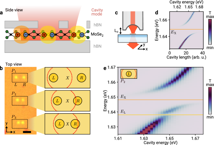 Cavity-mediated exciton hopping in a dielectrically engineered polariton system