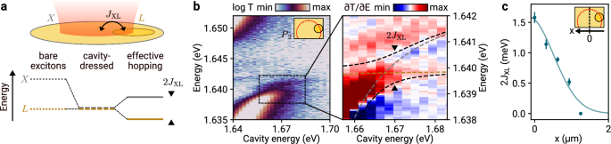 Fig. 3: Cavity-mediated long-range effective exciton hopping.
